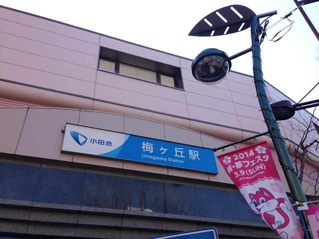 下北沢から二駅、小田急線梅ヶ丘駅から羽根木公園へ(徒歩3分くらい)