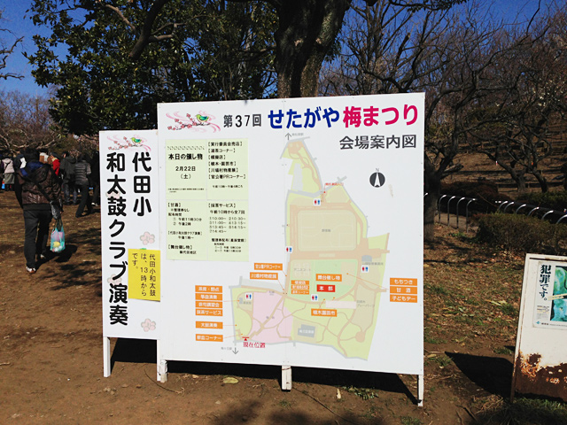 第37回 せたがや梅まつり会場の羽根木公園。あ、小田急線の梅ヶ丘駅だけでなく、京王井の頭線の東松原駅も最寄り駅です