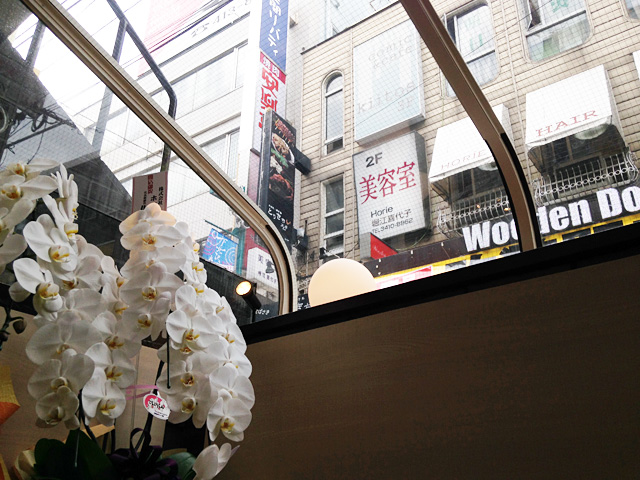 ここから見上げる景色は変わらず、、、