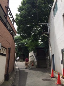 眞龍寺まであと少し!
