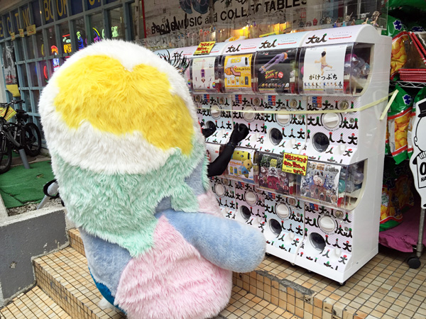 店頭にあるガチャガチャが気になるのだろうか