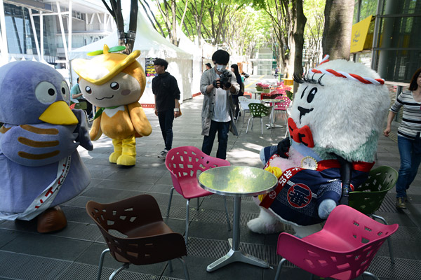 くつろいでいるところをコバトンにめっちゃチェックされてる、、、
