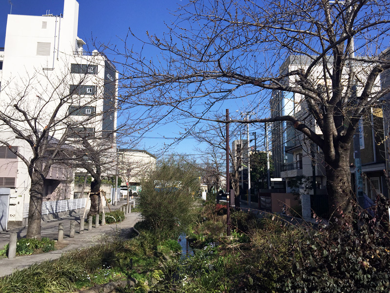 一昨日とあまり変化は感じられません