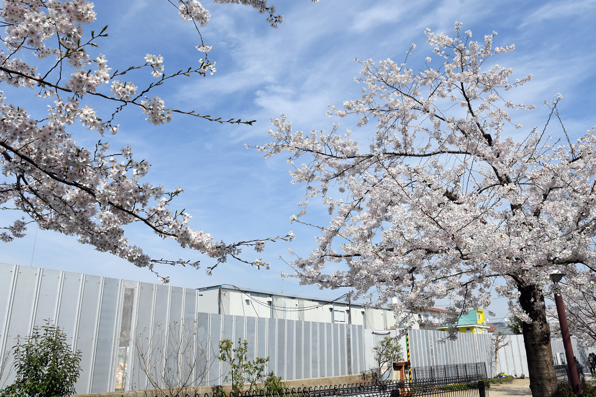 ここに代沢小学校があるのが当たり前でしたので、ちょっと寂しいですね