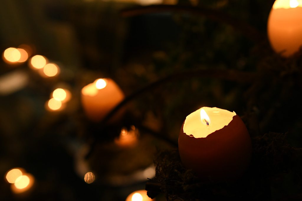 『COFFEA EXLIBRIS』Nature and Candle