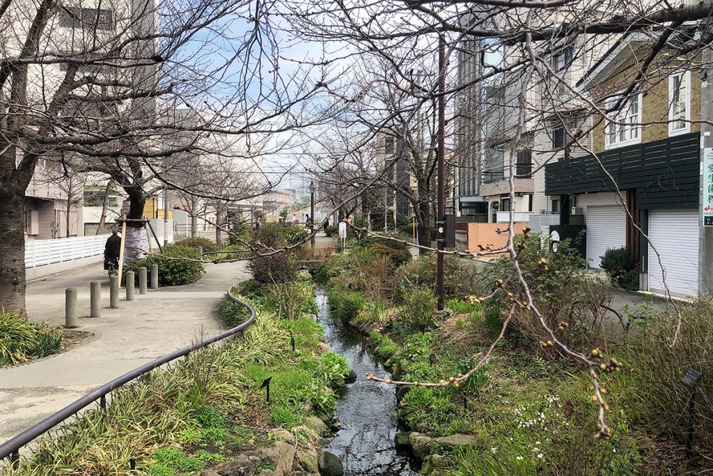 ちょっとだけ青空の北沢川緑道