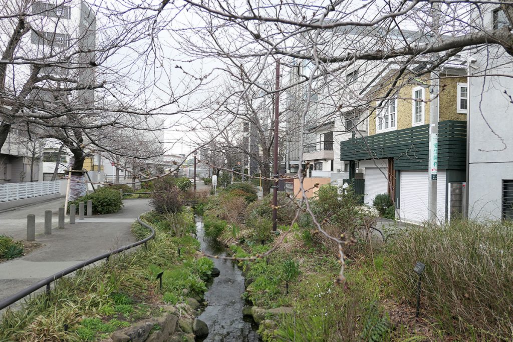 引きで見た感じでは変化が感じられませんが