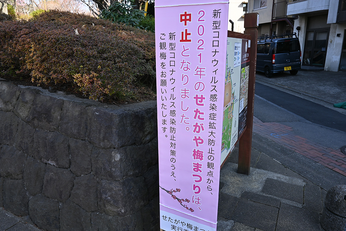 羽根木公園 2021.2.11