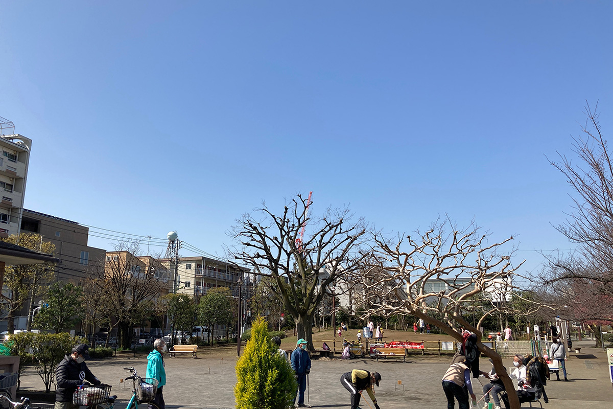 代沢せせらぎ公園、広場では地域の皆さんがゲートボールを、丘の方では園児が元気いっぱいに遊んでいました