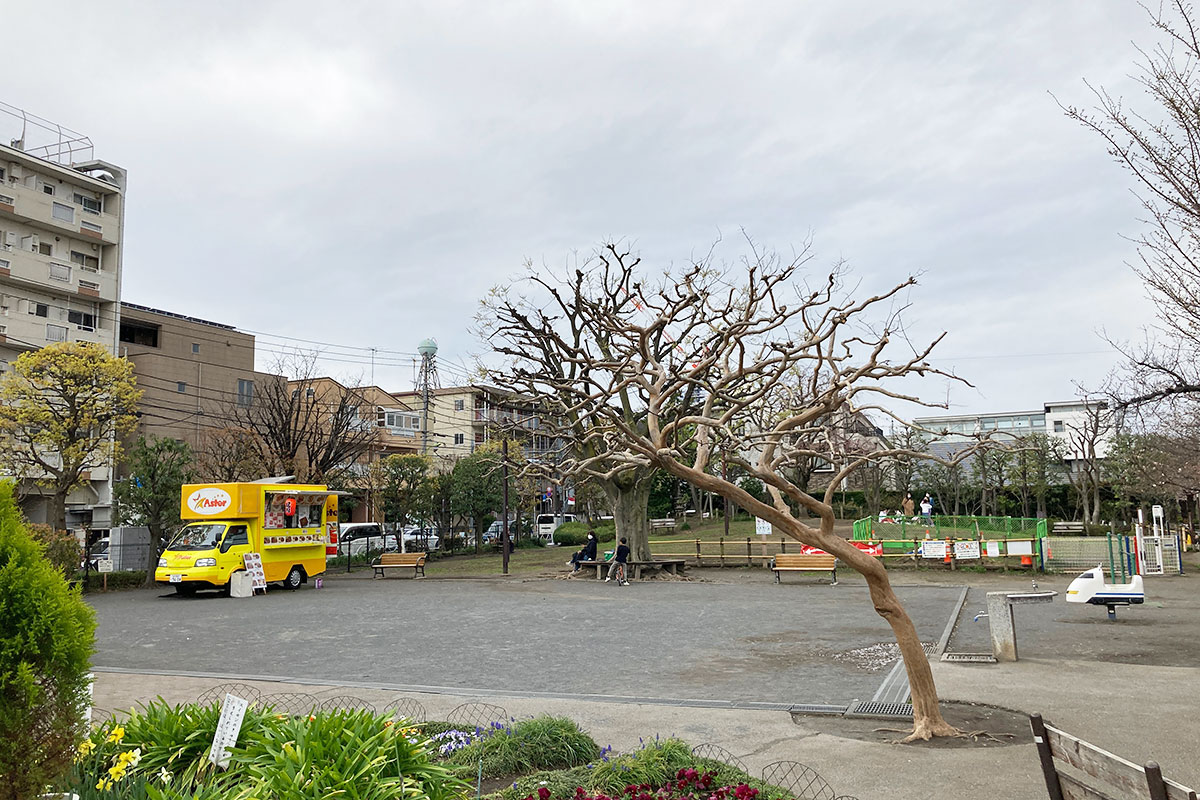 代沢せせらぎ公園、公園の広場の中にキッチンカーが乗り入れているのですね