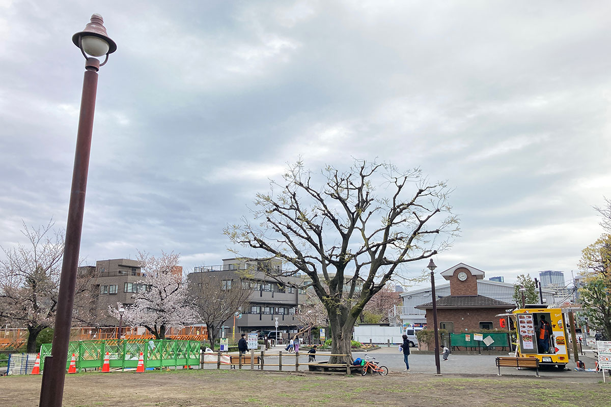 代沢せせらぎ公園のベンチに座って、平日だったのでのんびりとした雰囲気でしたが、私は大量の肉そして大量の米に奮闘していました