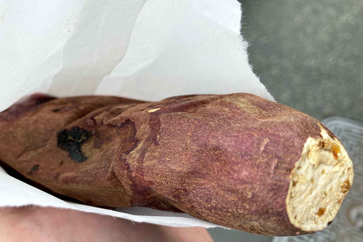 神戸芋屋 志のもとの「焼き芋(蜜はるか)」 500円