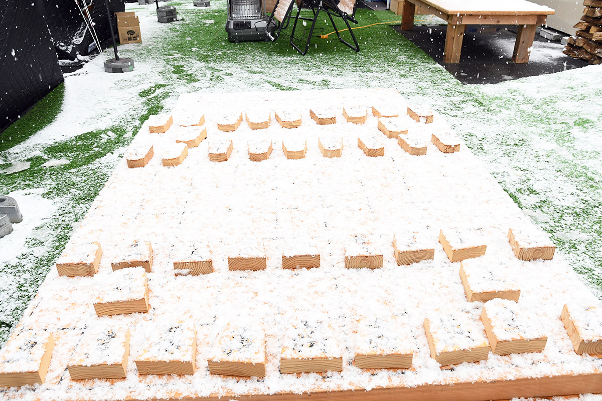 ちなみに外に置いてあるこれなんだろうと思ったら、巨大な将棋盤でした。雪に埋もれててもうなにがなんだか