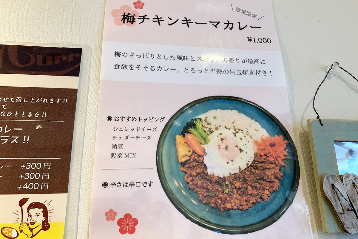 次はこのカレーを食べてみよう、梅は日本が誇るスパイス!