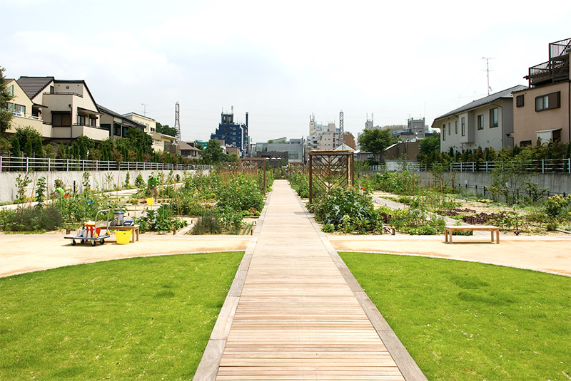 貸し菜園「アグリス成城」
よく考えたら、この場所も小田急線成城学園前駅地下化によって生まれた場所なんですよね