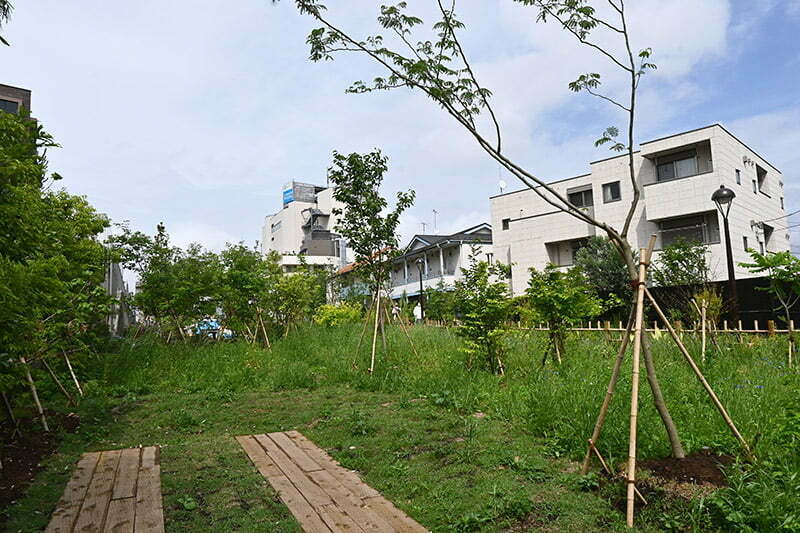 植物の成長著しい広場「シモキタのはら広場」