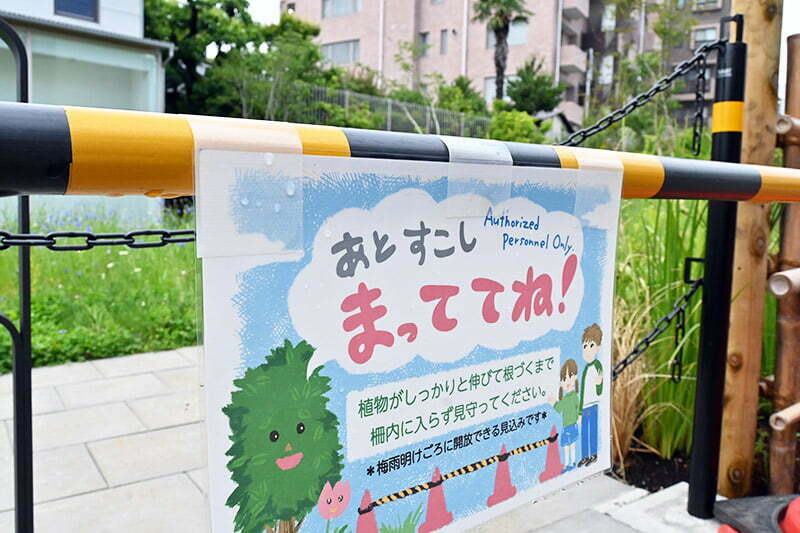 「ののはら」は現在植物の育成中、梅雨明け頃に解放できるとのことですー