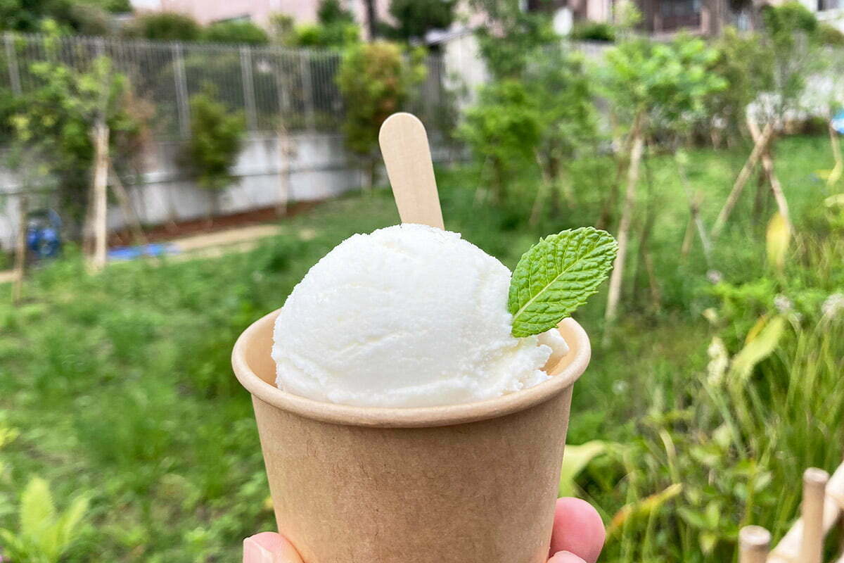 ラベンダーハニーシロップがけ「アイスクリーム 2scoops」550円(税込)