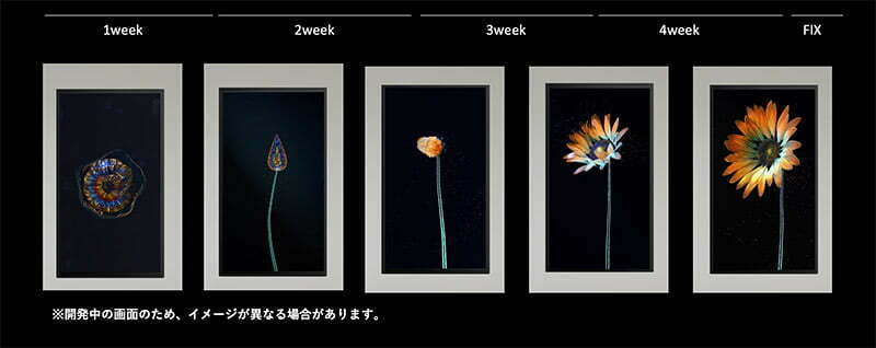 「Log Flower」発育イメージ
