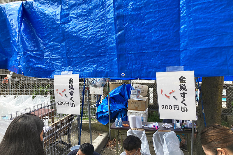 もちろん金魚すくいもあります