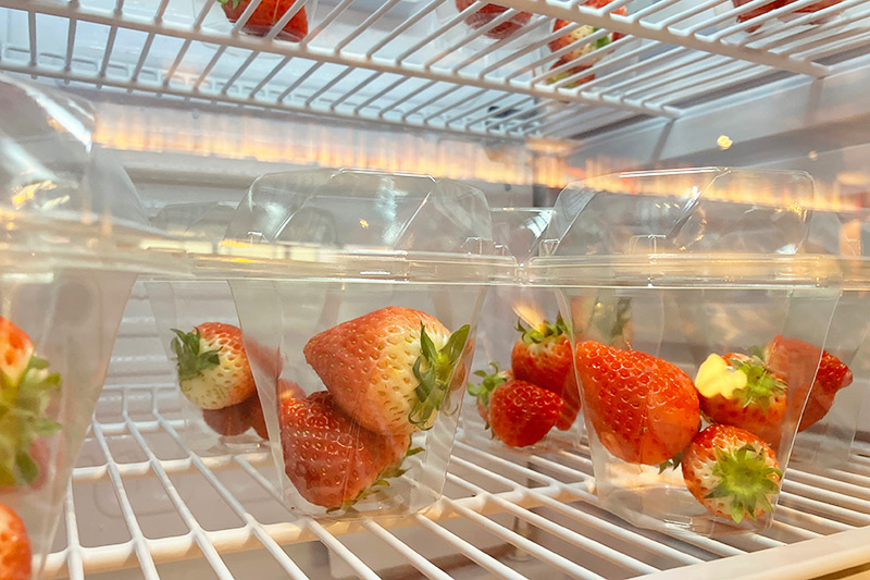 スナックばかりでフレッシュな物はなかったので、これは価値がありますねー。ぜひ、インスタをフォローしましょう!