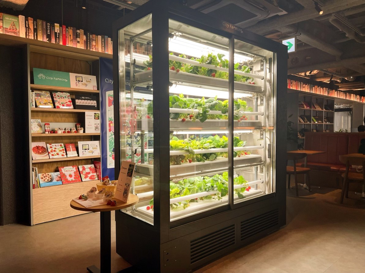 TSUTAYA BOOKSTORE 下北沢に設置された「City Farming」