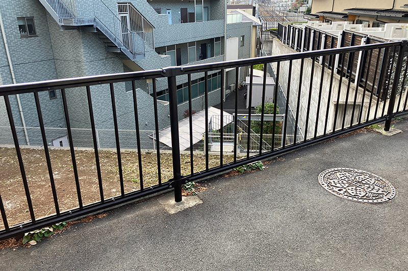 映像を確認しましたが、ちょうどこの写真の真ん中当たりの手すりを掴み、ひとり慟哭、、、