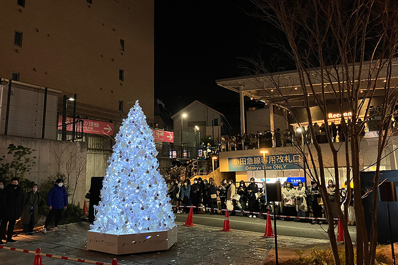 いやー、ライトアップされるととても幻想的ですね
