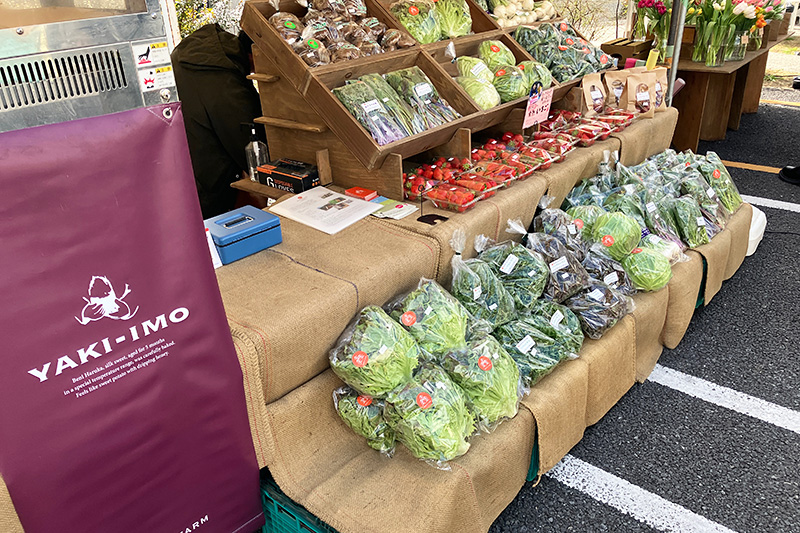 その他にも新鮮な野菜が販売されていたり