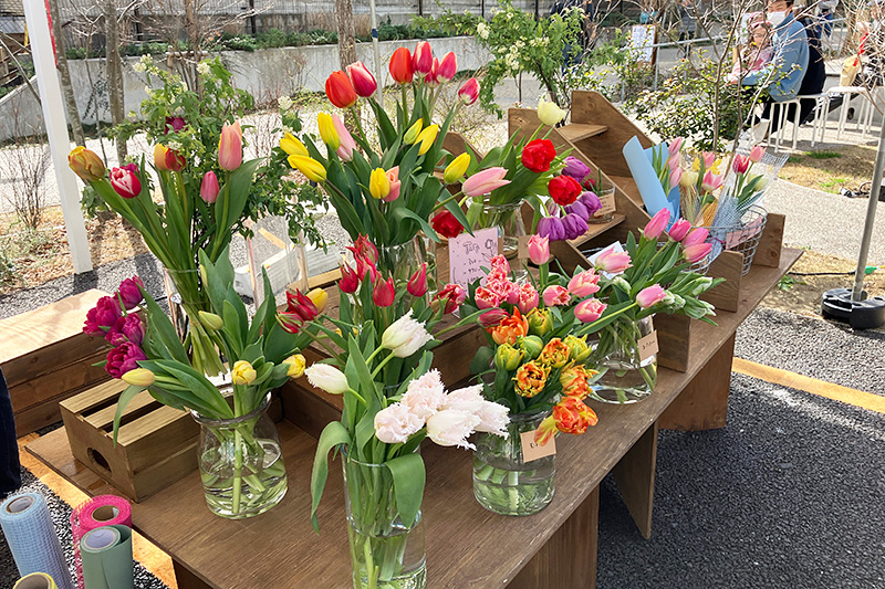 春を感じさせてくれるチューリップも販売されています(DonutsFlower)