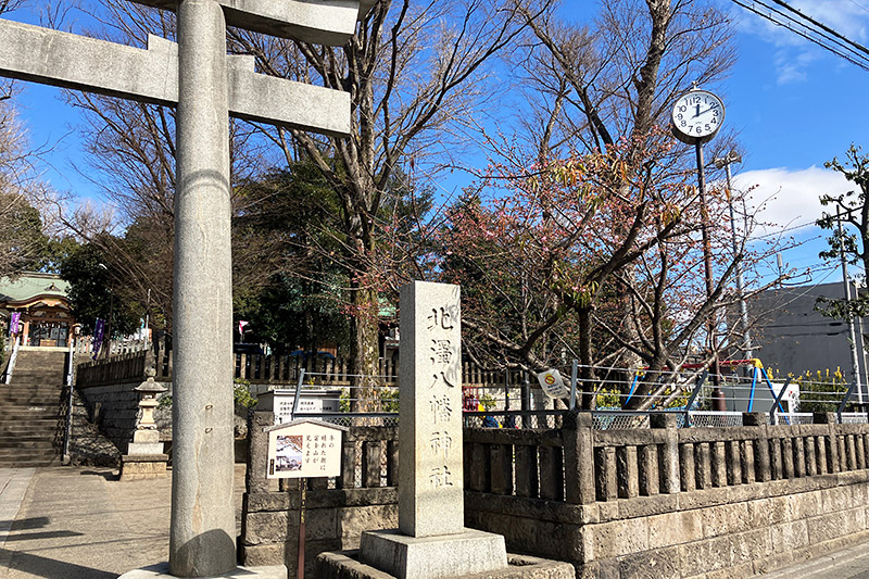 北澤八幡神社、鳥居の右側に河津桜があります