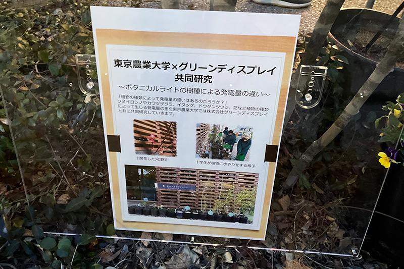 BONUS TRACKの植え込みにも設置