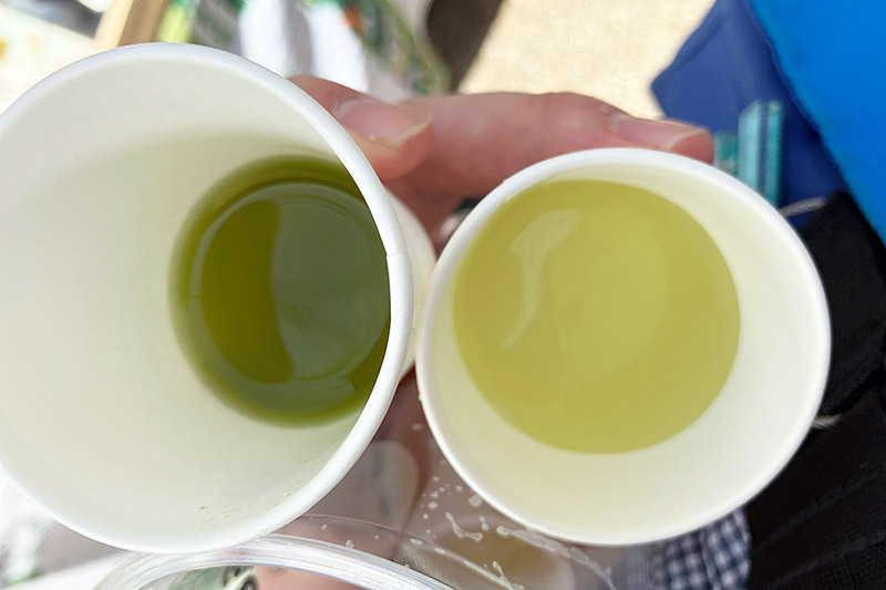 深蒸しと浅蒸しのお茶を飲み比べ、どちらも違う個性で美味しい