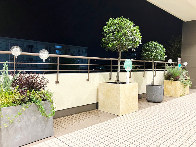 植物発電botanical light (ボタニカルライト)導入事例「分倍河原MINANO」