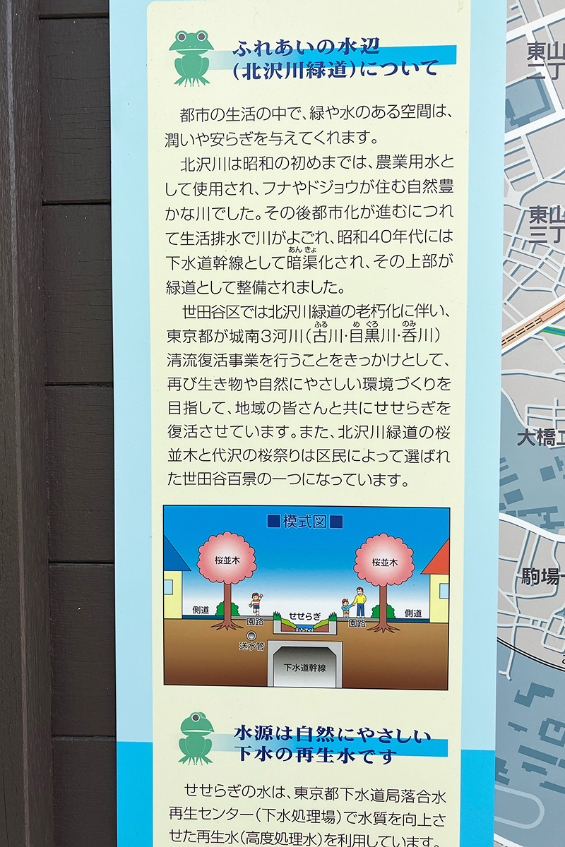 そう、北沢川は暗渠!