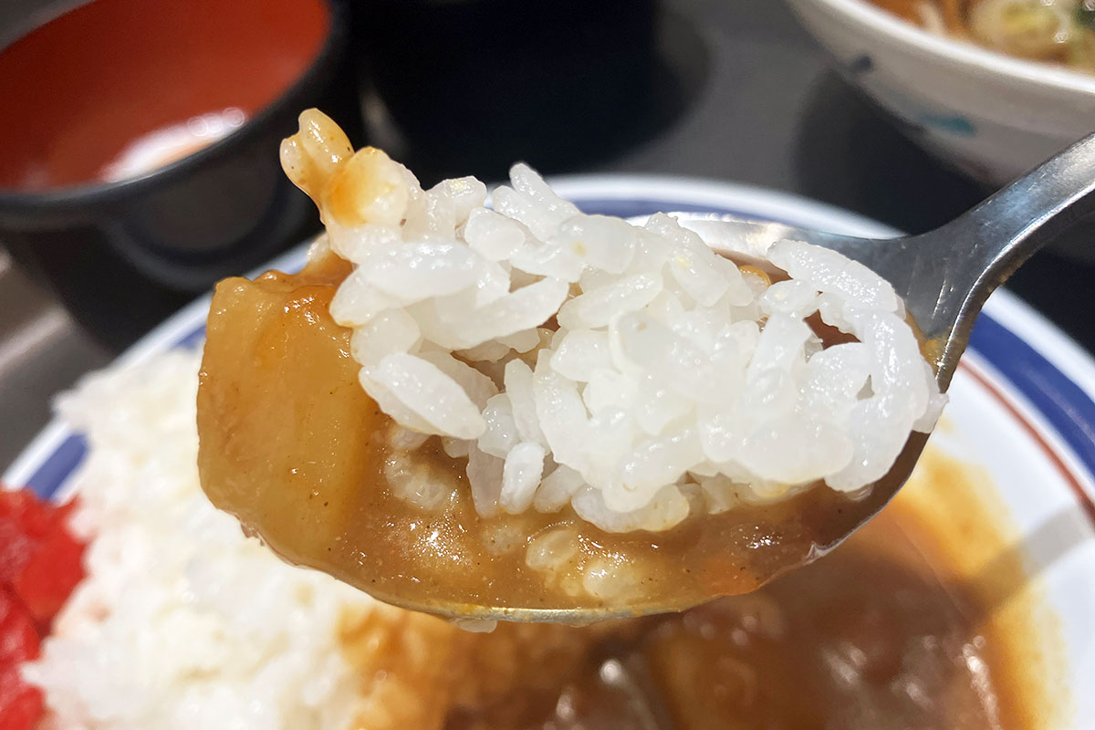 これまた至ってフツーのミニカレー