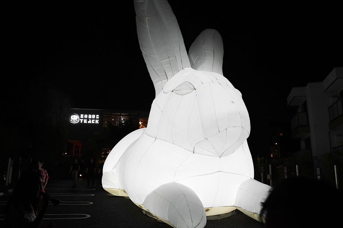 Amanda Parer「Intrude (ウサギのインスタレーション)」
