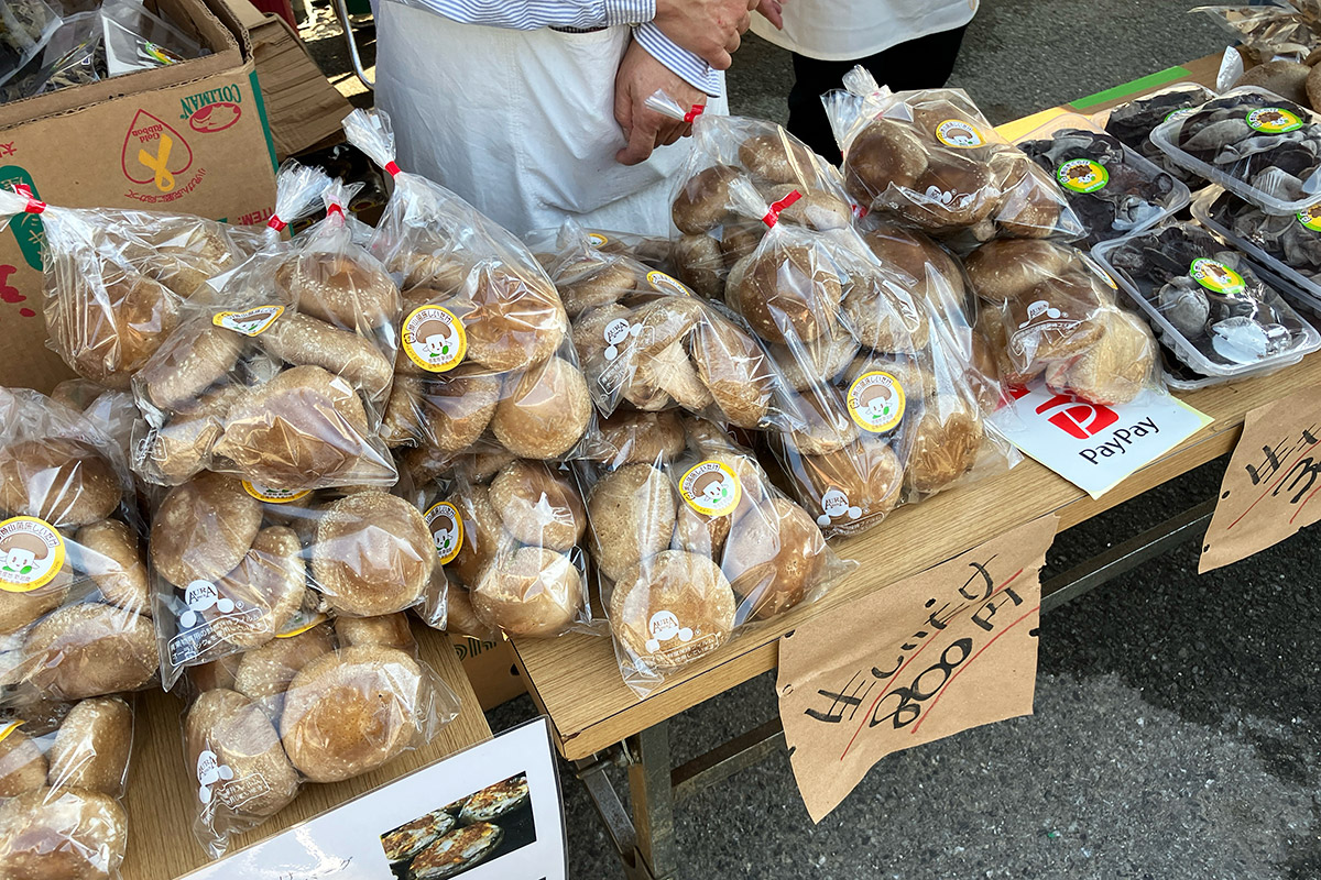 そうそう、こんな立派な椎茸もありました。焼くだけでおいしいとのことですー