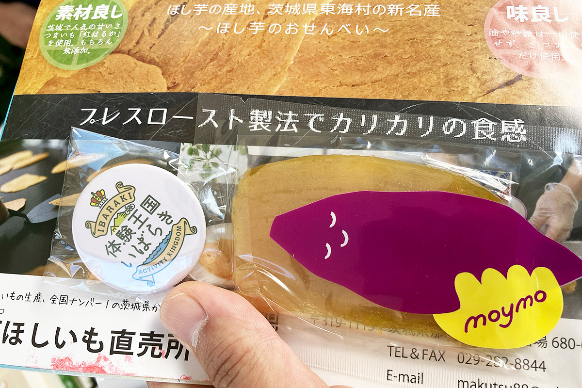 抽選でもらった、干し芋(めっちゃおいしい!)と缶バッチ。ぜひ、スタンプラリーでブースを巡りながら、茨城の魅力を感じてくださいね