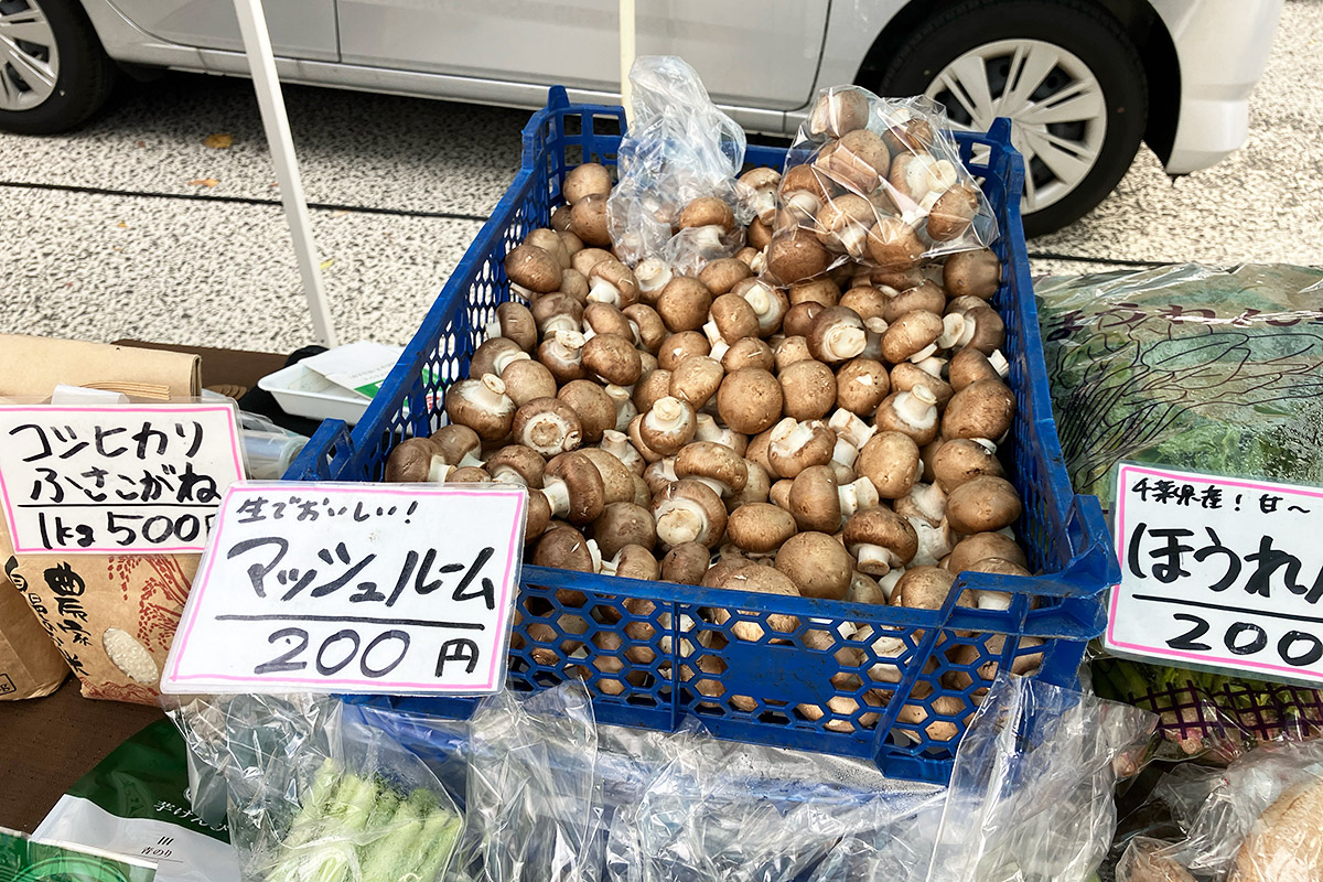 新鮮なマッシュルームなので、生で食べられます