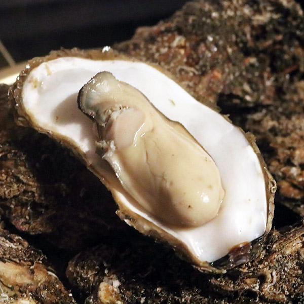 「蒸し牡蠣」
三陸・広田湾(陸前高田)のダシがたっぷりの冬の時期の牡蠣を蒸して提供
