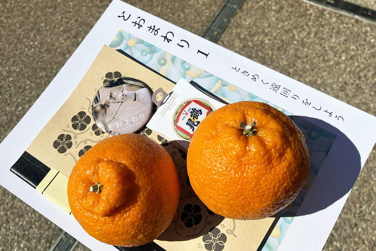 雑誌「とおまわり1」、竹紙ノート、不知火、やぎマグネット、そして阿久根の焼酎蔵・大石酒造「鶴見」の缶バッチをゲット