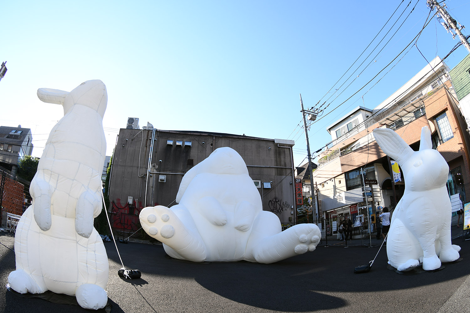 Amanda Parer “Intrude”
Amanda Parer “Intrude”