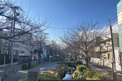 2025年1月7日時点の北沢川緑道