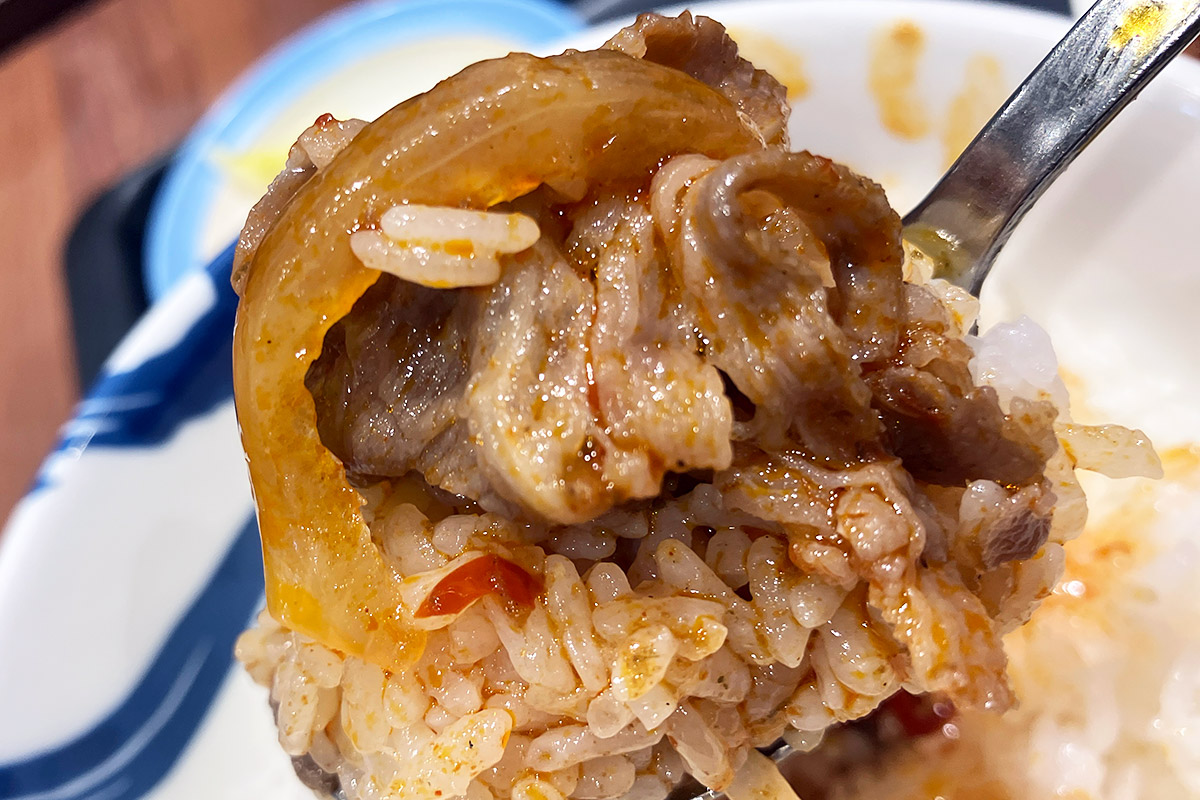 松屋の牛丼とは全く違う攻撃的な牛肉、もはや玉ねぎですら激辛、刺激物、危険物!