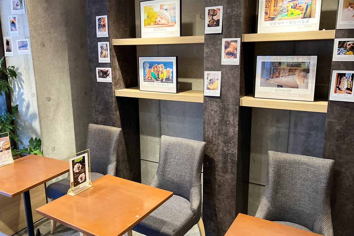 他のタリーズとは異なり、期間ごとにアートを展示しているお店でもあります。下北沢ならではですね