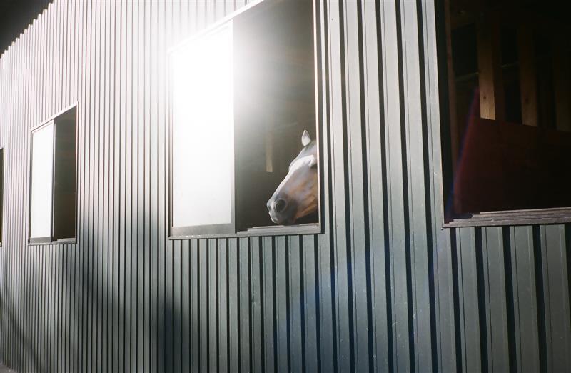 展示写真