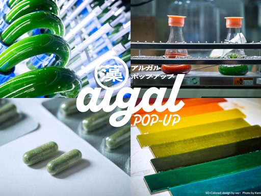 『algal POP-UP（アルガル ポップアップ）』