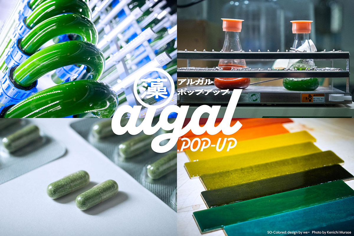 『algal POP-UP（アルガル ポップアップ）』