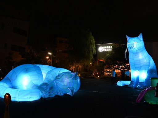 Nelly Ben Hayoun-Stépanian「Schrödinger’s Cats」
